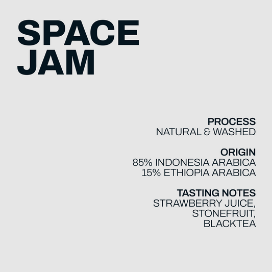 Space Jam single-dose information artwork