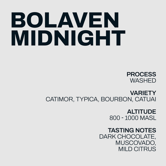 Bolaven Midnight coffee information artwork