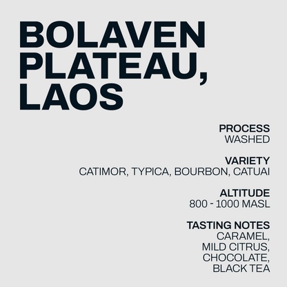 Laos coffee information