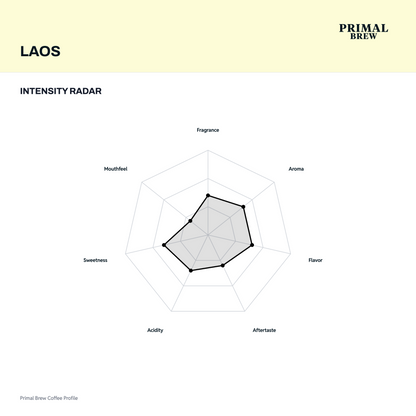 Laos coffee descriptive assessment radar
