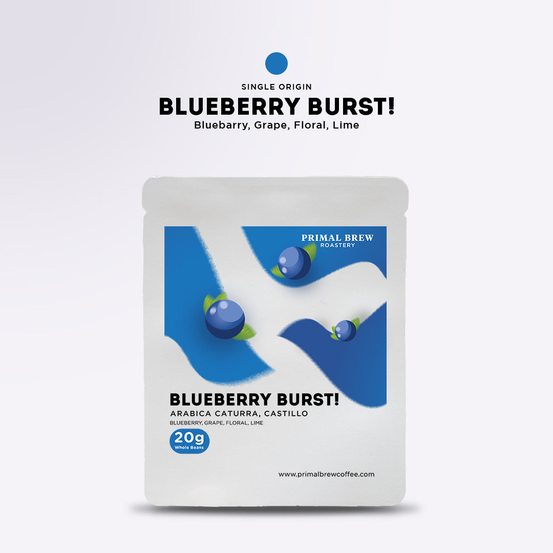 20g Blueberry Burst | Single Dose | Primal Brew