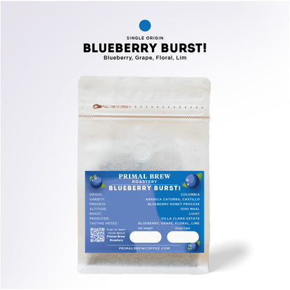 Blueberry Burst | Roasted Coffee Single Origin Specialty Arabica | Primal Brew