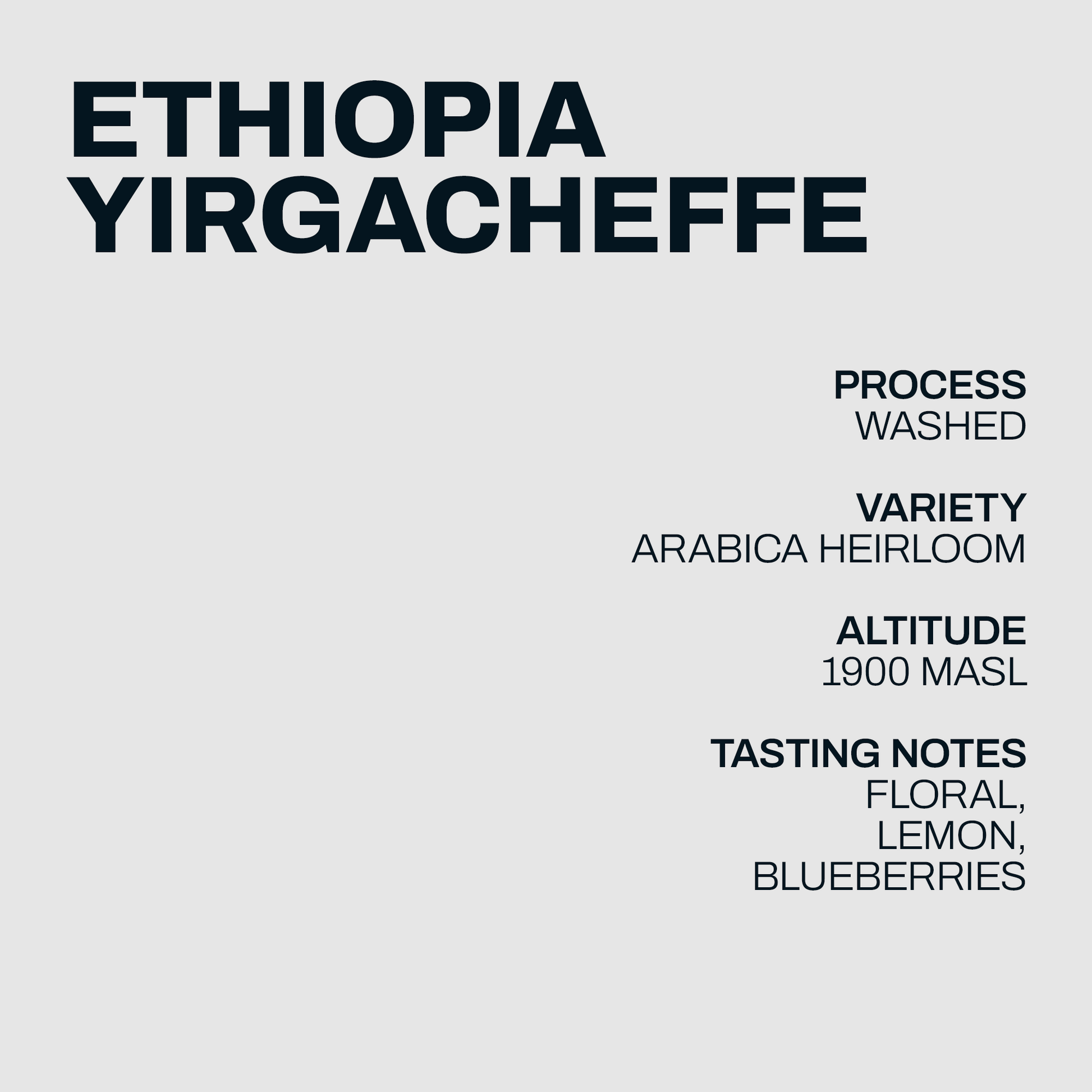 INFORMATION_Ethiopia Yirgacheffe.png