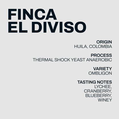 Finca El Diviso information