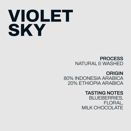 INFORMATION_Violet Sky.png