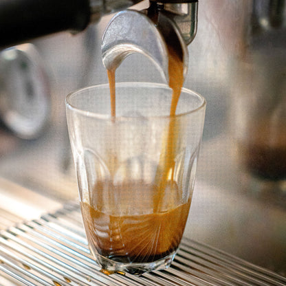 Atok, Benguet | Single Origin Specialty Arabica