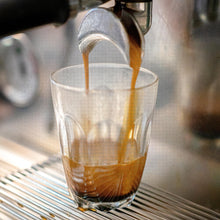 Load image into Gallery viewer, Brazil Santos | Single Dose Coffee | Single Origin Specialty Arabica
