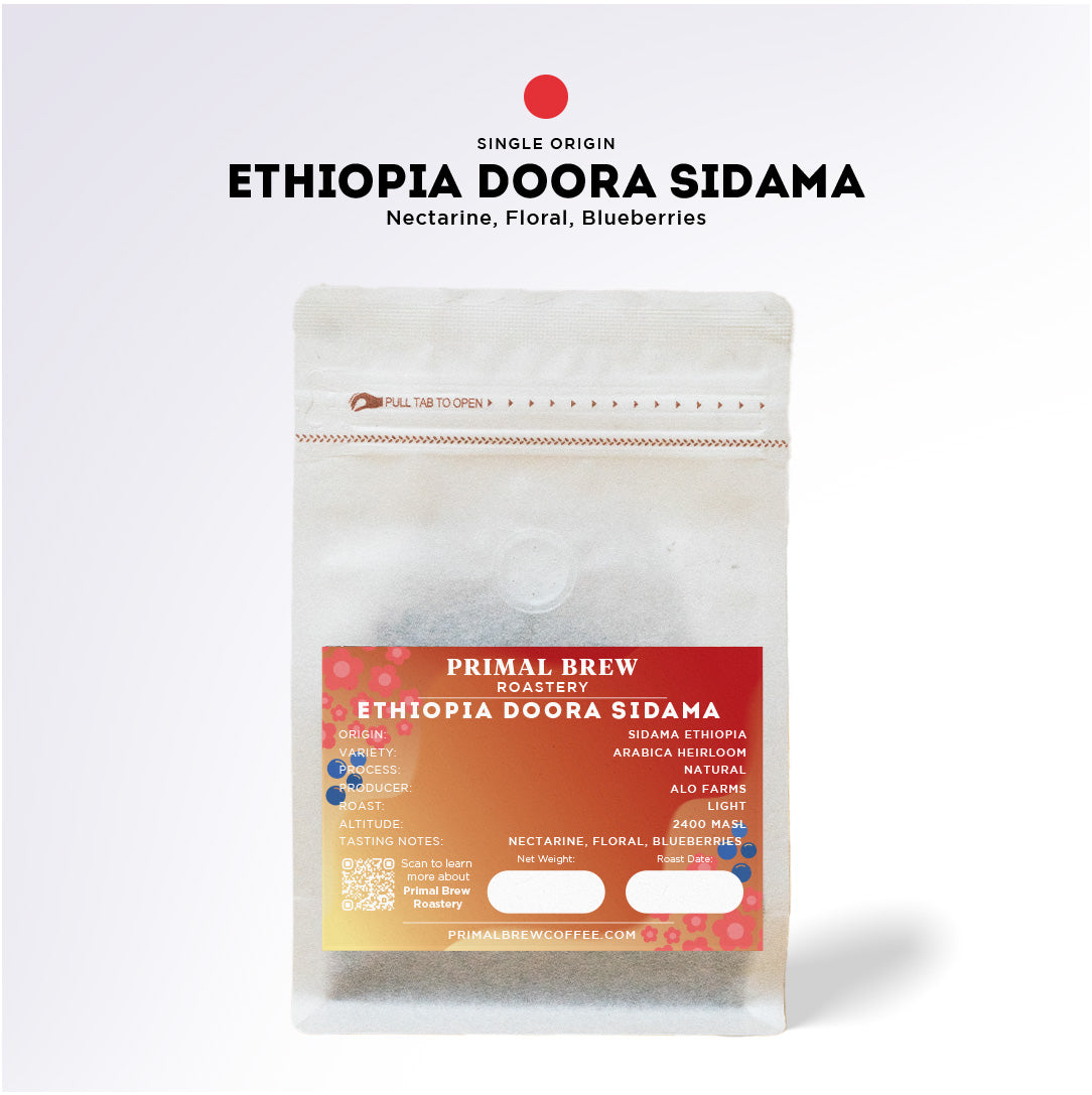 Ethiopia Doora Sidama | Roasted Coffee Single Origin Specialty Arabica | Primal Brew
