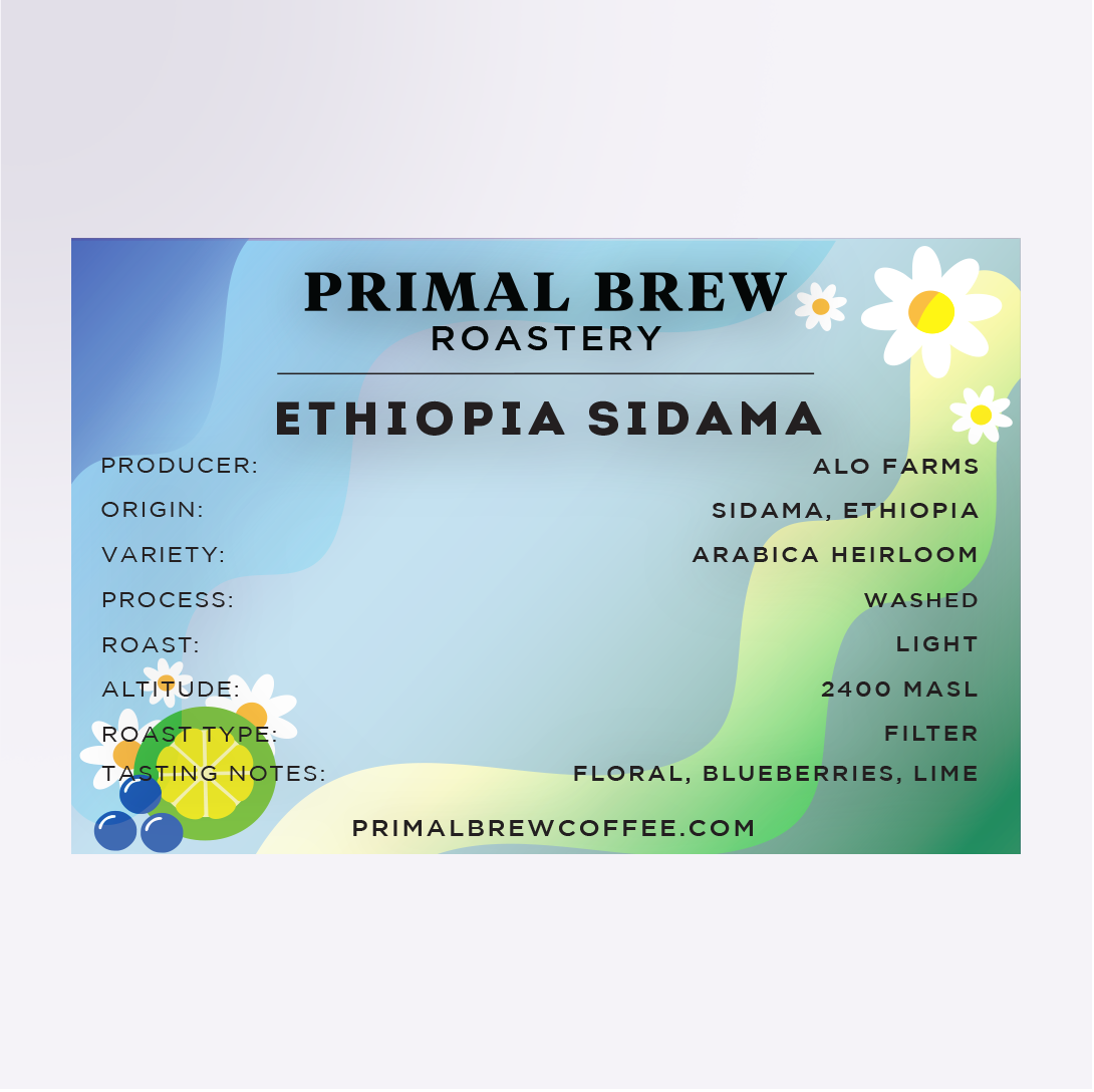 Ethiopia Sidama | Roasted Coffee Single Origin Arabica | Primal Brew