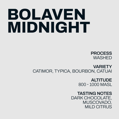 Bolaven Midnight coffee information artwork