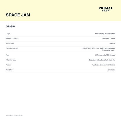 Space Jam origin profile page
